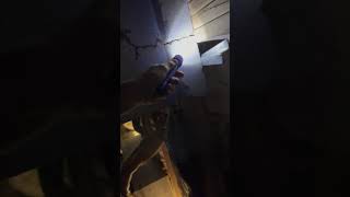 Termites in Foundation
