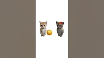 КАК РАБОТАЮТ ЧИТЫ В STANDOFF 2, ОБЪЯСНЯЮ НА КОТЯТАХ