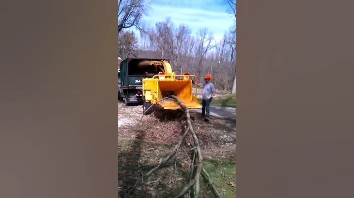 Carlton 1790 chipping