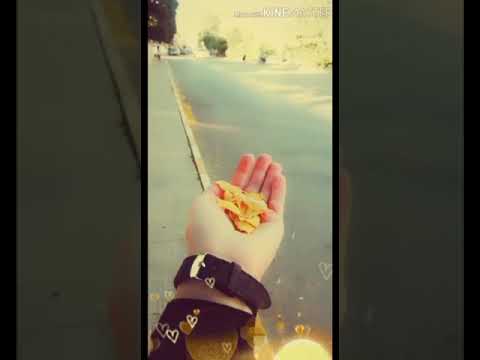 بحبك انت وجاي حالات واتساب لاا تنسى تفعيل الجرس والاشتراك بالقناة مع كل الحب والتقدير لكم اعزائي