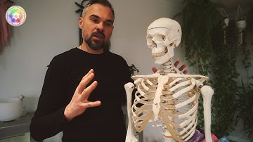 new webinar coming soon ... “Bodywork Techniques for BBTRS".