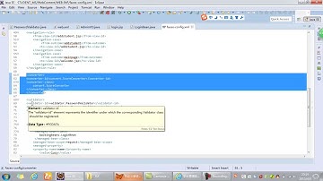 Java Web扩展 Jsf 5 自定义验证器