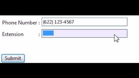 WebInput - Masked Input