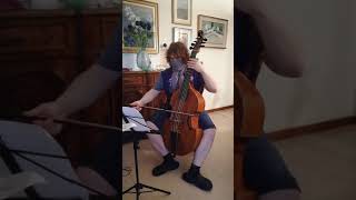 ENYA - THE FIRST OF AUTUMN - BASS VIOL SOLO (short version)