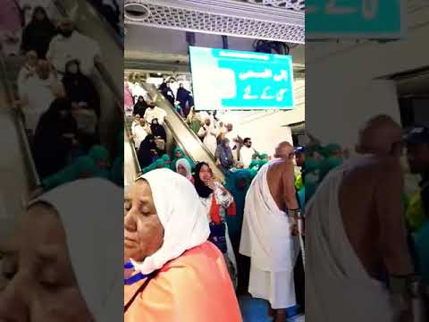 ظهور لاحدى معتمرات شركةفوياج للسياحه بقناة باكستانيه فوياج الاولى فى مجال السياحه الدينيه بصعيد مصر