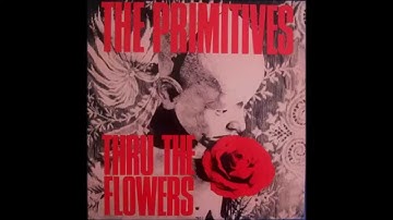 The Primitives - Across My Shoulder