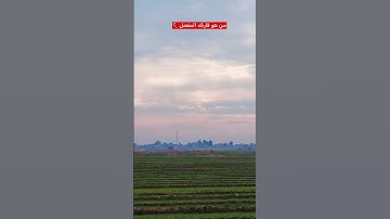 من هو قارئك المفضل ..؟