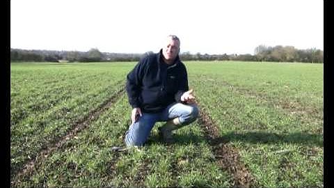 How precise is precision farming?