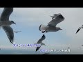 後追い三味線(尺八のみです)