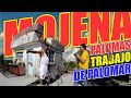 Palomas y trabajo de palomar  mojena