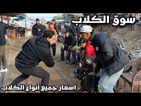 سوق الكلاب سوق الجمعه السيده عائشه اسعار الكلاب ابدأ من 500 جنيه