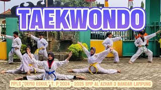 TAEKWONDO MPLS