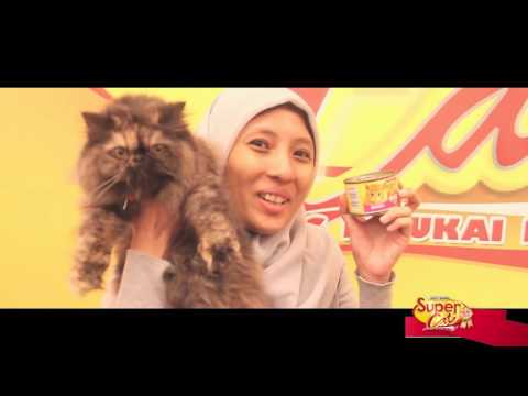 Video: Pengambilan Sukarela Dari Banyak Pilihan Makanan Kucing Basah Yang Disenyapkan Kerana Berpotensi Pencemaran