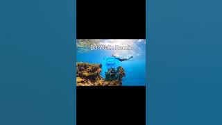 Gensiusjini X 66 ft Jay Melody - wewe | DJ Wellz Afrochill
