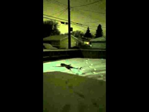 Snow angel fail
