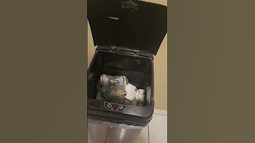 Best This Best That - Reviews the iTouchless hands-free 13 Gallon Garbage Can #amazon #amazonfinds