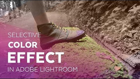 Selective Color Effect in Adobe Lightroom