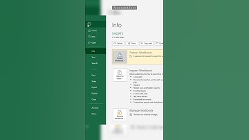 password protected workbook #exceltips #exceltutorial #excel