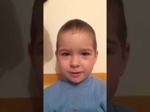 Чуковский "краткая история мухи Цокотухи"