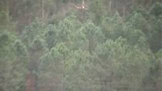 Inaugural F104_xvid_xvid.avi