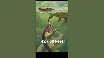 The unbelievable size of Titanoboa | Largest snake in history|Body size