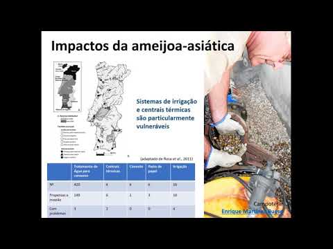 Vídeo: Mexilhão de rio (Dreissena polymorpha): descrição, condições de habitat e papel no ecossistema
