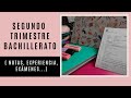 2° TRIMESTRE BACHILLERATO📝 || NOTAS, EXAMENES, EXPERIENCIA...