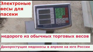 картинка: Весы.Электроные весы для пасеки