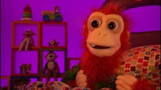 ZooMoo Show | Que barulho é esse? 1 | ZooMoo Kids