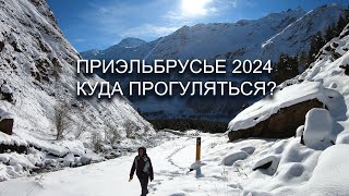 :         !  2024 - 2025