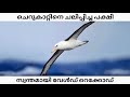 Wandering Albatross | Malayalam | iT's Wild