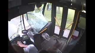 Deer crashes into bus in Johnstown - Deer Fare screenshot 1