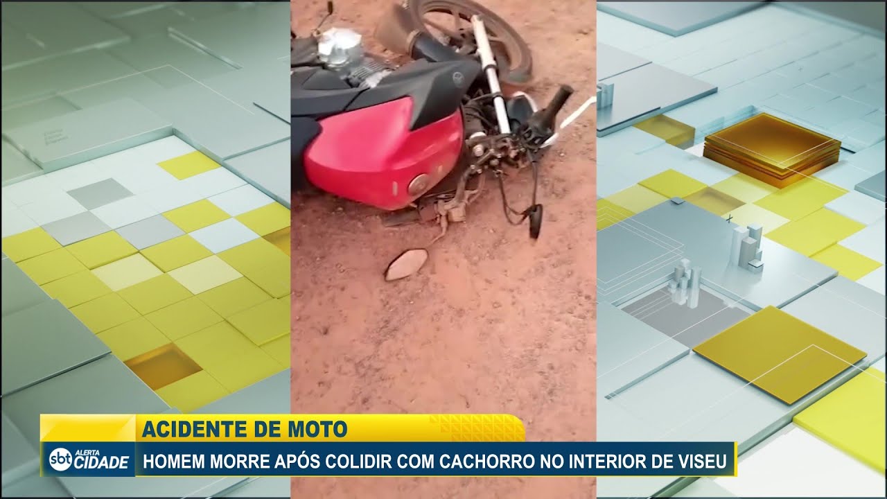 ACIDENTE DE MOTO: HOMEM MORRE APÓS COLIDIR COM CACHORRO NO INTERIOR DE VISEU