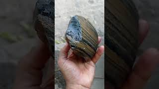akik jasper#akikpuser#akikgambar #akikmotif #akiktapakjalak