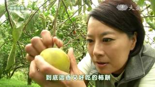 【草根菩提】預告 - 20151211 - 368出去走走 - 作「客」北埔
