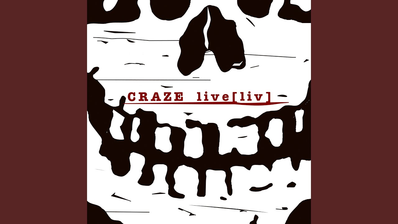 CRAZE　『baby punks tour 2000』DVD craze baby punks tour 2000 Think Punk. DVD | eBay