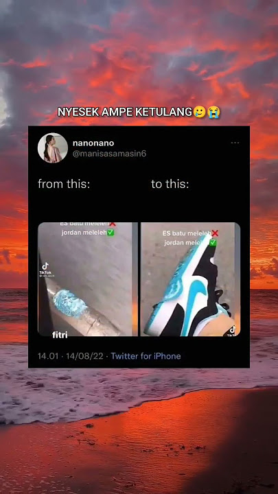 sepatu jordan sepasang aja hargany udah berapa🥲😭