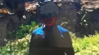 Nebican Ağlıyor Bu Gözlerim