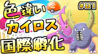 国際孵化 Youtube 国際孵化 Youtube