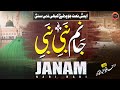 New heart touching naat 2024  janam nabi nabi  hafiz abdul qadir