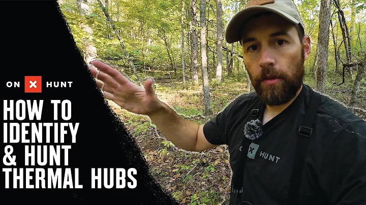 How To Identify & Hunt Thermal Hubs- with Aaron Warbritton of The Hunting Public