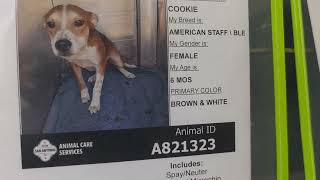 Acs A821320 A821323