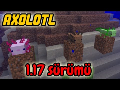 Yeni Axolotl Hayvani Minecraft 1 17 Youtube