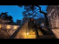 조째즈 ZOZAZZ 물망초 Cover 1시간듣기 가사 조째즈 ZOZAZZ 물망초 Cover 1시간듣기 가사