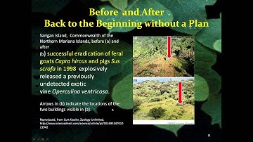 Invasive Plants   What Follows Success