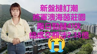 今日樓市新聞：07/07/2025 | 新盤撻訂潮-將軍澳海茵莊園兩日勁撻41伙-總成交額涉2.38億