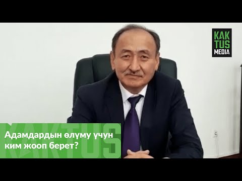 Video: Коргошундагы валенттүү электрондордун саны канча?