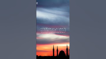 سعود الشريم، آية الكرسي #المصحف #اكسبلور #راحة_نفسية #الرحمن #سورة_البقرة #آية_الكرسي