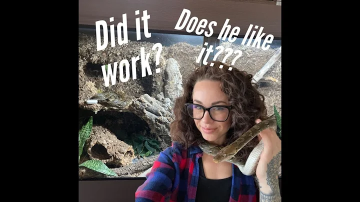 Giant Bioactive Build for my Retic!