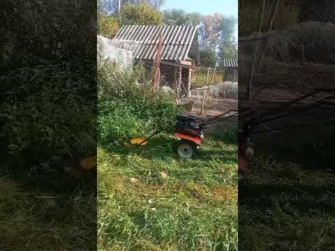 Покос травы мотоблоком